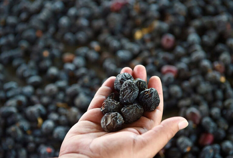 kurma wholesale
